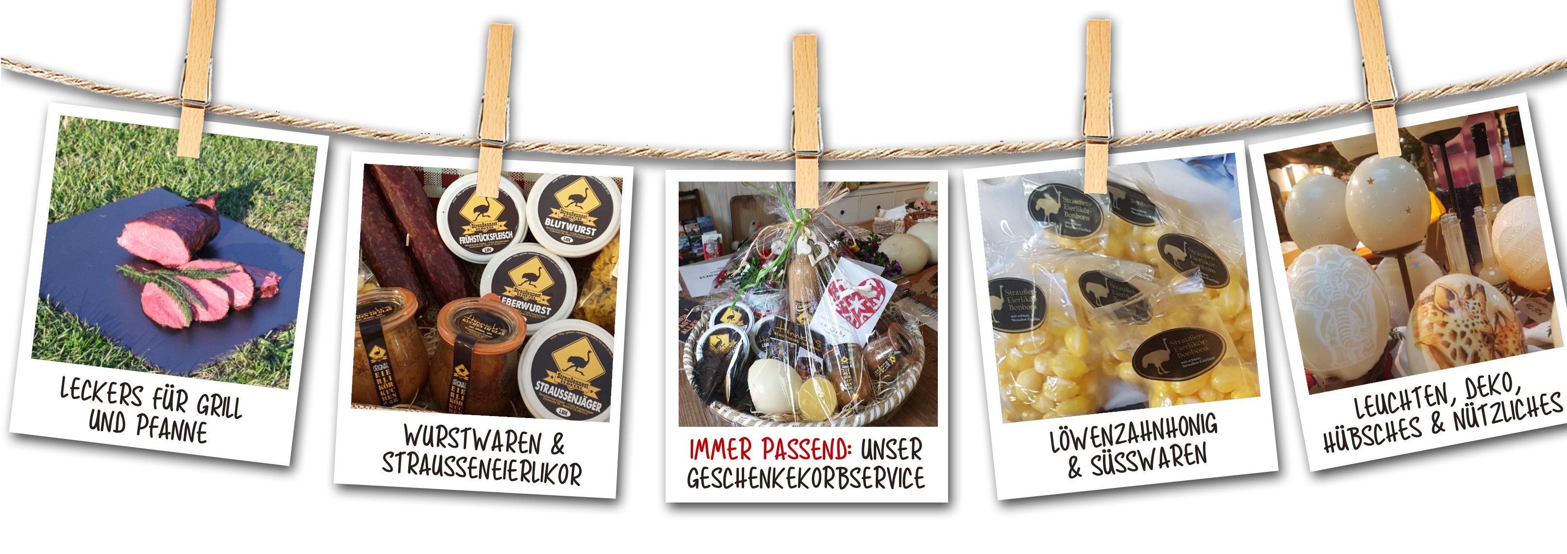 Aus unserem Angebot